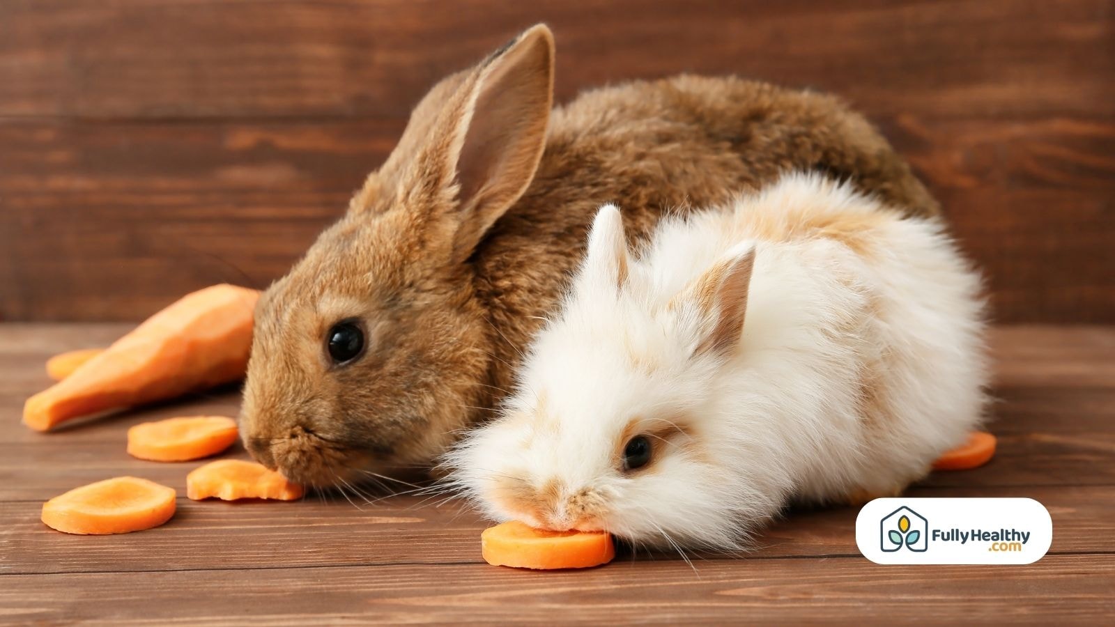 Two rabbits eating sliced carrots on a wooden surface