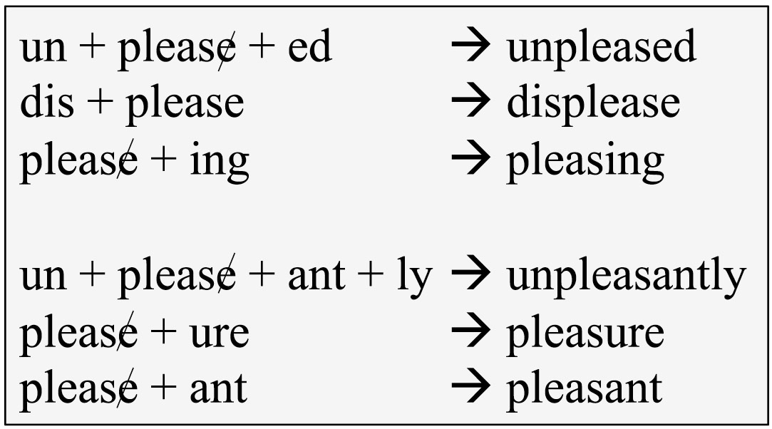 Example of morphology