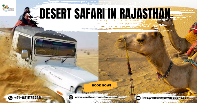 Desert Safari in Rajasthan: A Winter Wonderland in the Sands