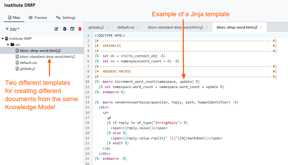 DSW Template editor