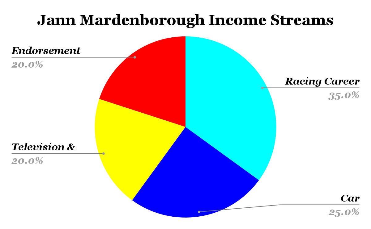Jann Mardenborough Income Streams