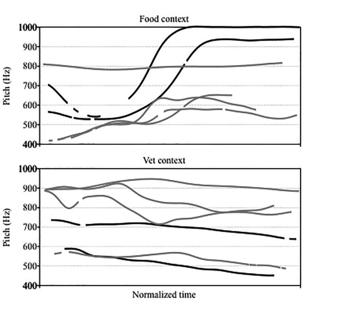 CH_12_food_in_context_image_BW.jpg