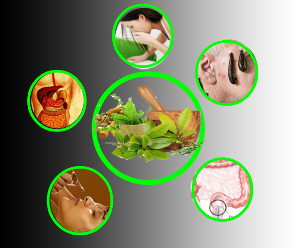 Ayurvedic Herbs
