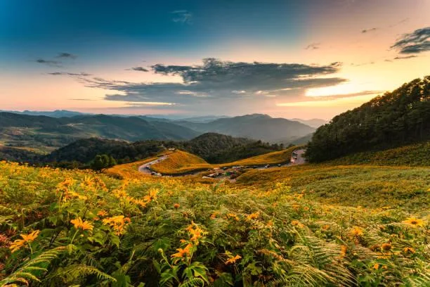 25 Rolling Fields Covered in Morning Dew, morning dew, rolling fields, nature, landscape, fresh grass, cool light