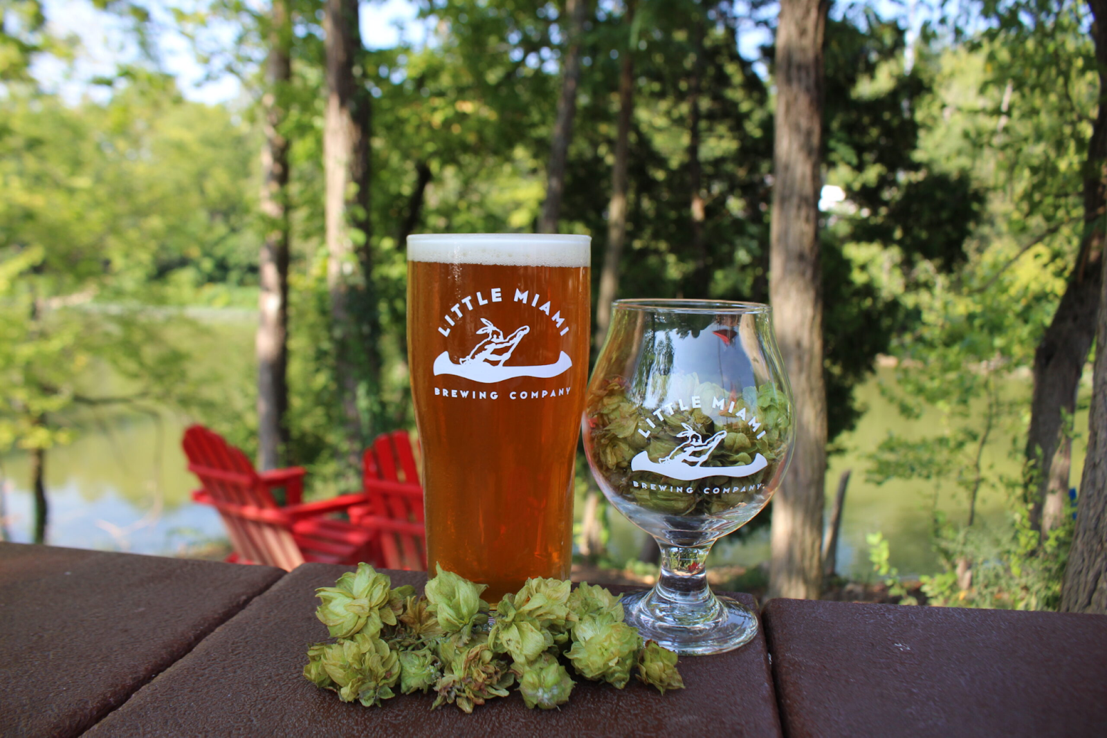 Close-up image of glass filled with beer of Little Miami, best brewery in Cincinnati