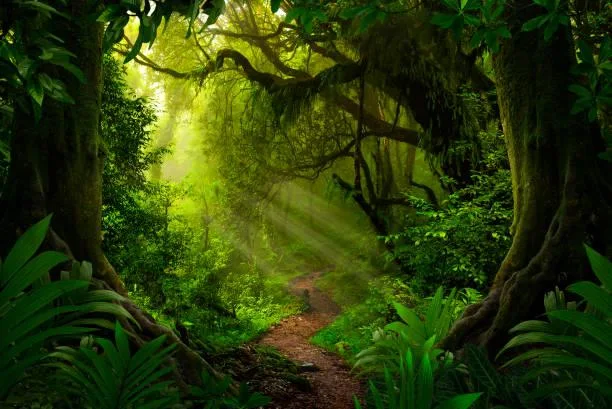 12 Photos That Capture Nature’s Hidden Corners, hidden nature, secret landscapes, nature, landscape, undiscovered places, quiet spots