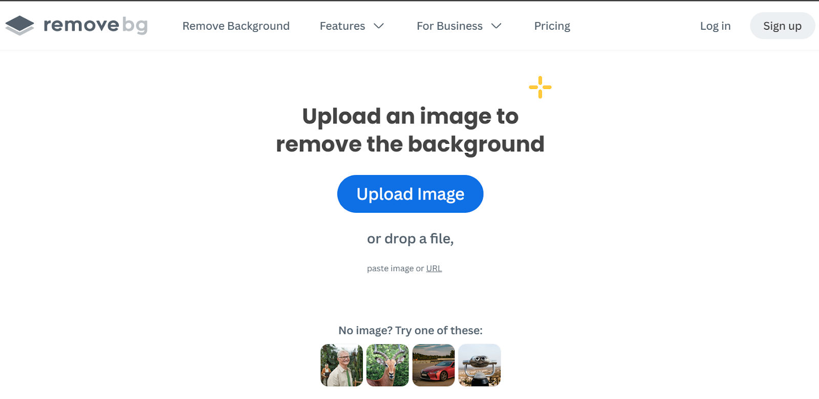 Remove.bg, a photo editing tool