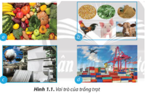 BÀI 1. NGHỀ TRỒNG TRỌT Ở VIỆT NAM