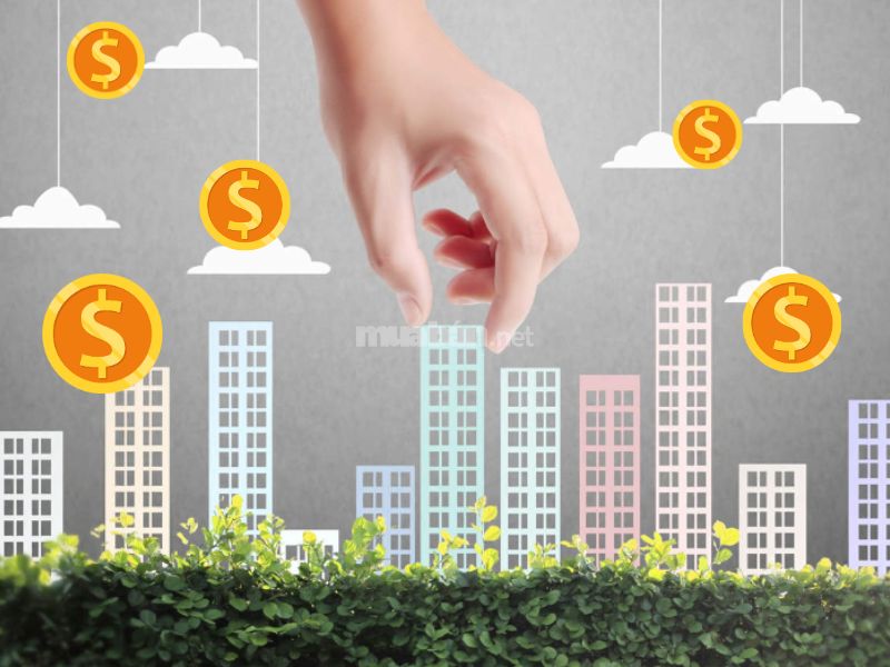 So sánh giá cả thị trường