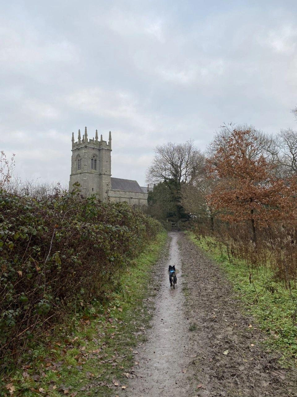 photo shows a black and tan small dog walking along a path to a church
