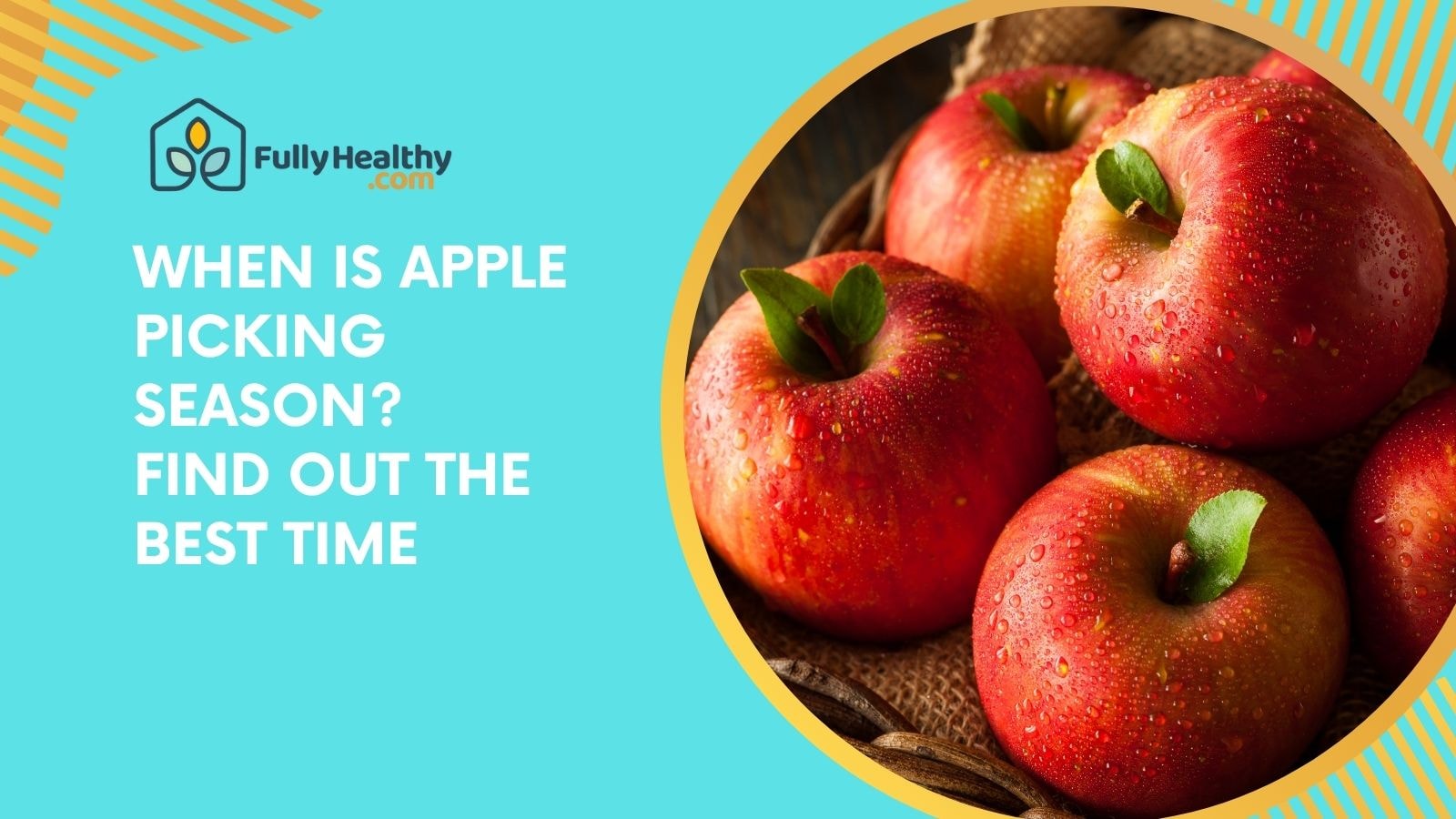 When Is Apple Picking Season? Find Out the Best Time