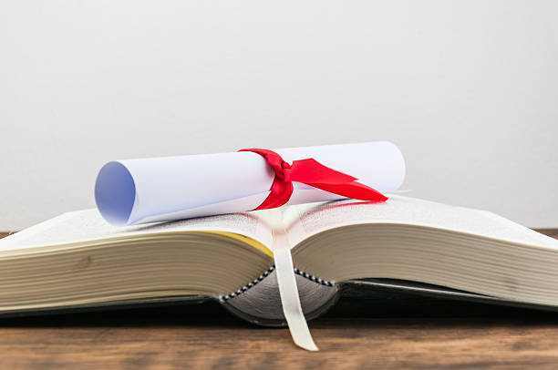 PhD Research Paper Writing