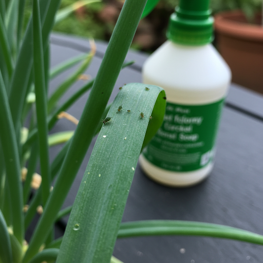 Common Chive Growing Problems & Solutions