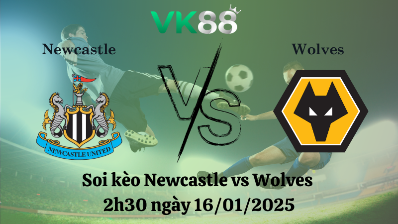 Soi kèo Newcastle vs Wolves 2h30 ngày 16/01/2025