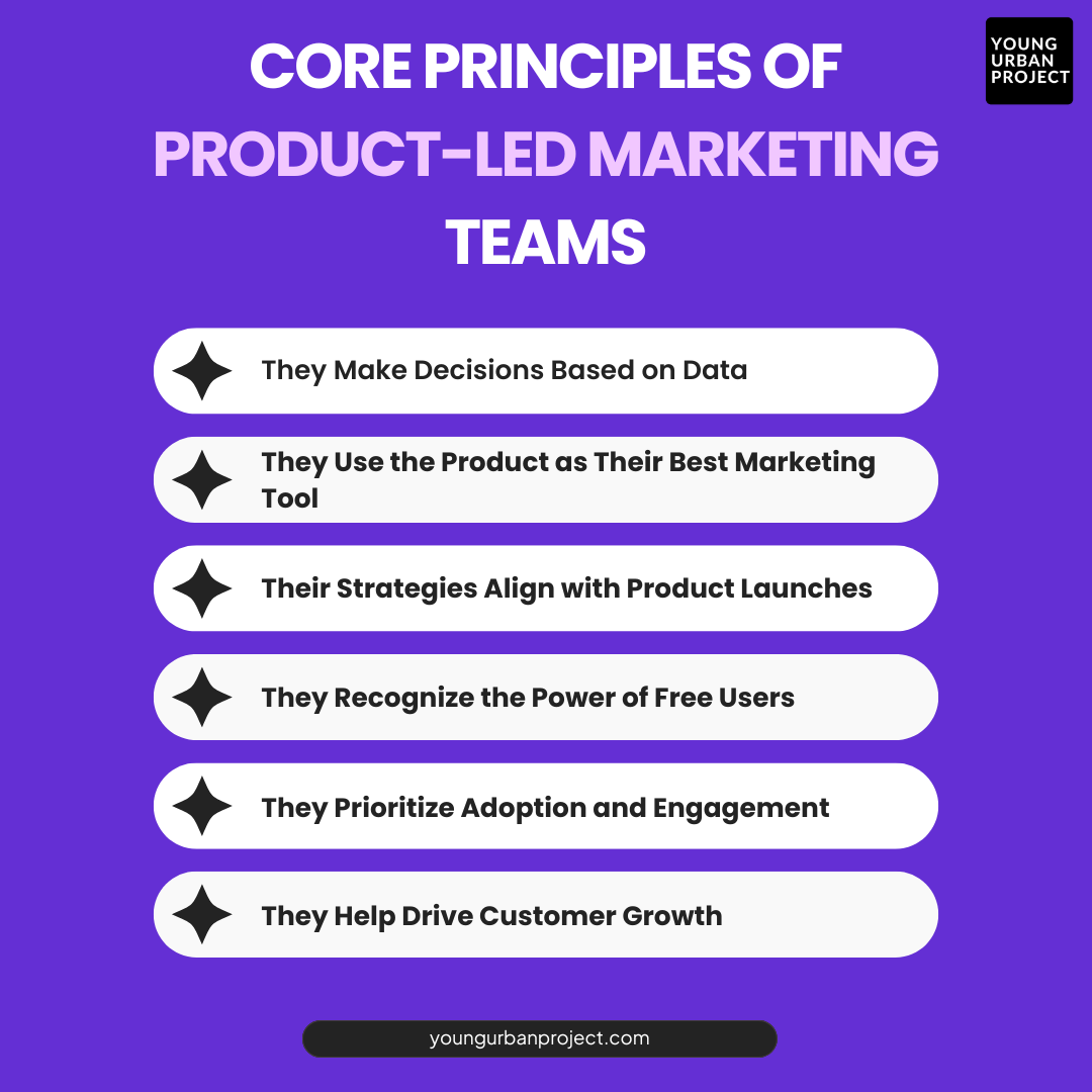 principles of product-led marketing