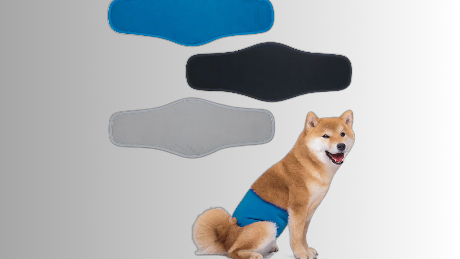 belly bands for male dogs