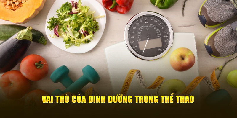 Vai trò của dinh dưỡng trong thể thao