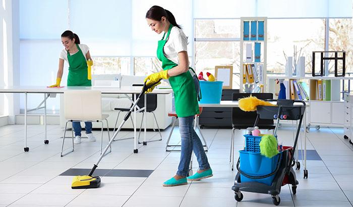 Benefits of Professional Cleaning Services | Daisy Maids