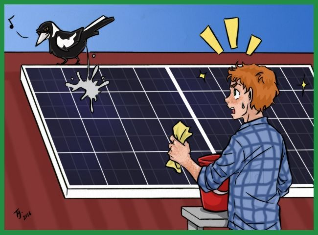 solar panel cleaning 