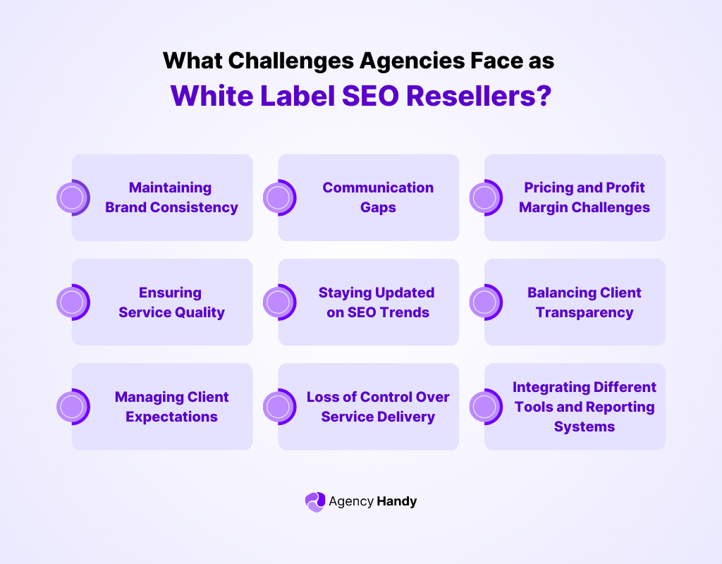 What are the Challenges Agencies Face When Becoming a White Label SEO Reseller?