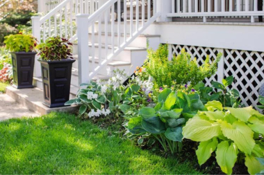 best plants for your michigan deck hostas plant in front of porch custom built okemos