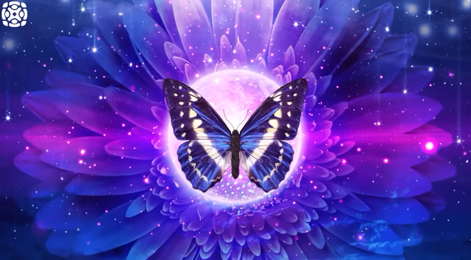 A butterfly with blue, white and black wings sitting at the center of a vibrant blue and purple floral pattern, surrounded by sparkling stars. 