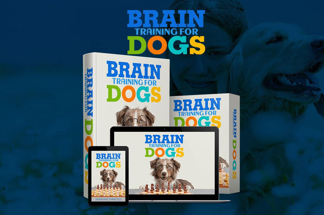 Brain Training for Dogs