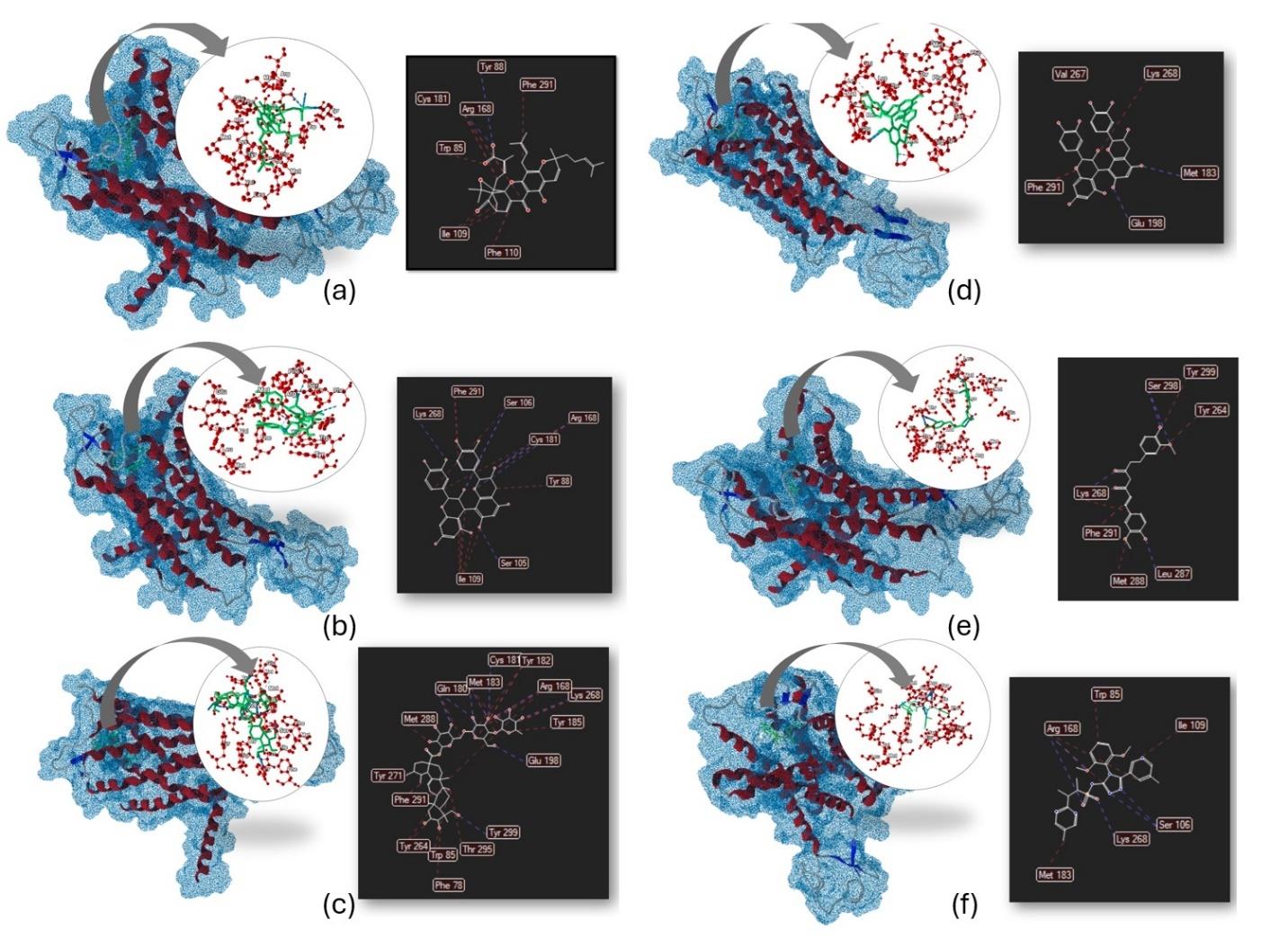 A collage of images of a molecule

Description automatically generated