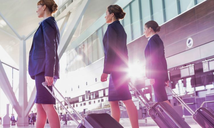 Flight Attendants