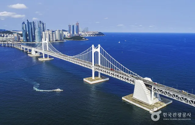 【2025 釜山自由行】5 天 4 夜行程推薦/美食景點/便宜機票懶人包