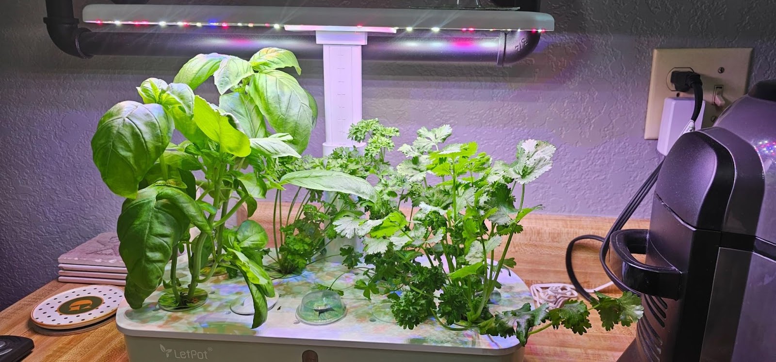 LetPot LPH-Air Hydroponic System