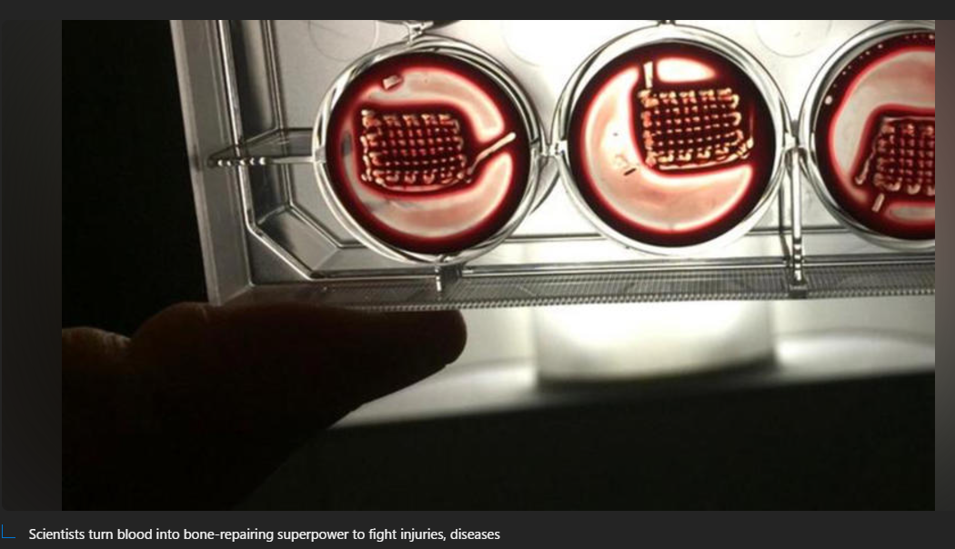 A close-up of a cell culture

Description automatically generated