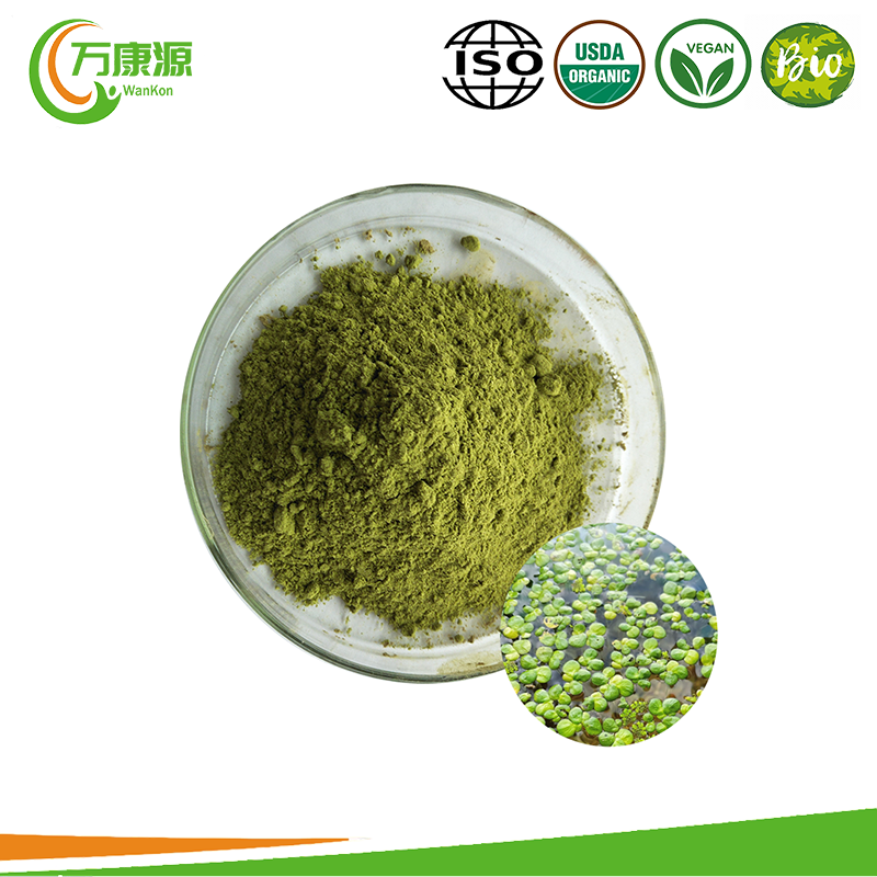 Mankai Duckweed Powder