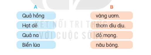 BÀI 6: MÙA VÀNGĐỌCCâu hỏi: Giải câu đố:a. Tròn như quả bóng màu xanh/Đung đưa trên cành chờ Tết trung thu (là quả gì)b. Quả gì vỏ có gai mềm/Đến khi chín đỏ thoạt nhìn tưởng hoa (là quả gì?)Đáp án chuẩn:a. Quả bưởi b. Quả chôm chômTRẢ LỜI CÂU HỎICâu hỏi 1: Những loài cây, loại quả được nói đến khi mùa thu vềĐáp án chuẩn:hồng, naCâu hỏi 2: Bạn nhỏ nghĩ gì khi nhìn thấy quả chín?Đáp án chuẩn:Bạn nhỏ nghĩ các loại quản đang mong có người đến hái. Quả chín ngon, các bạn nông dân sẽ rất vui. Bạn nhỏ ước nếu mùa nào cũng được thu hoạch thì thích lắm. Câu hỏi 3: Kể tên những công việc người nông dân phải làm để có mùa thu hoạchĐáp án chuẩn:Cầy bừa, gieo hạt, ươm mầmMưa nắng, hạn hán họ phải chăm sóc vườn cây, ruộng đồngCâu hỏi 4: Bài đọc giúp em hiểu điều gì?Đáp án chuẩn:Mỗi mùa sẽ có một loại cây, loại quả khac nhau. Để tạo ra được những loại quả đó, các bác nông dân đã phải chăm sóc cây quả như thế nào. Công việc của các bác rất vất vả. LUYỆN TẬP Câu hỏi 1: Kết hợp từ ngữ ở cột A với từ ngữ ở cột B để tạo nên câu đặc điểmĐáp án chuẩn:Câu hỏi 2: Đặt một câu nêu đặc điểm của loài cây hoặc loại quả mà em thích.Đáp án chuẩn:Cây chôm chôm có lá nhỏ màu xanh non, khi già xanh đậm, ngọn búp có lớp bao màu hơi đỏ,  hoa từng chùm ở đầu cành, tỏa mùi thơm dịu.VIẾTCâu hỏi 2: Chọn ng hoặc ngh thay cho dấu ba chấm (...)Cuốc con về ...ỉ hèTrong đầm sen bát ...átLá xanh xòe ô cheHoa đưa hương ...ào ...ạtĐáp án chuẩn:nghỉ, ngát, ngào ngạtCâu hỏi 3: Chọn a hoặc ba. Chọn r, d hoặc gi thay cho ô vuông.Mưa ...ăng trên đồngUốn mềm ngọn lúaHoa xoan theo ...ó...ải tím mặt đườngb. Chọn tiếng trong ngoặc thay cho dấu ba chấm (....)- Vườn cây tươi tốt nhờ công (sức/sứt) lao động của các cô bác nông dân.- Đầu xuân dân làng nô (nức/nứt) ra đồng để trồng cây.- Nhiều loại củ quả được dùng để làm (mứt/mức) Tết.Đáp án chuẩn:b. - sức- nức - mứt LUYỆN TẬPLUYỆN TỪ VÀ CÂUCâu hỏi 1: Kể tên các loại cây lương thực, cây ăn quả mà em biếtĐáp án chuẩn:Cây lương thực: lúa, lúa mì, sắn, ngô, khoaiCây ăn quả: xoài, na, mít, dừa, nho, lê, táoCâu hỏi 2: Tìm từ ngữ chỉ hoạt động chăm sóc câyĐáp án chuẩn:tưới nước, bón phân, tỉa láCâu hỏi 3: Kết hợp từ ngữ ở cột A với từ ngữ ở cột B để tạo câuĐáp án chuẩn:LUYỆN VIẾT ĐOẠN