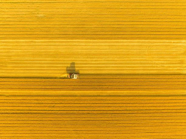 12 Earth Textures That Look Like Art, earth texture, natural art, nature, forest, landscape, terrain pattern, ground details