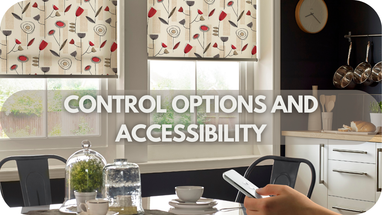 Control Options and Accessibility