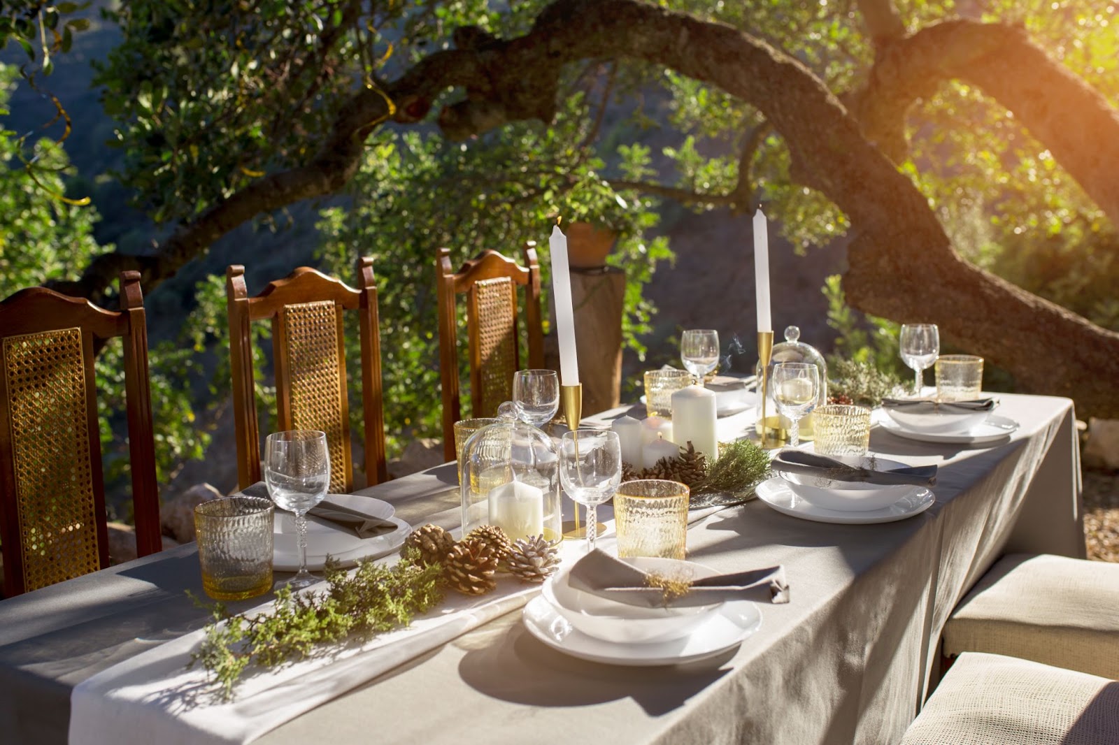 Host the Perfect Garden Party