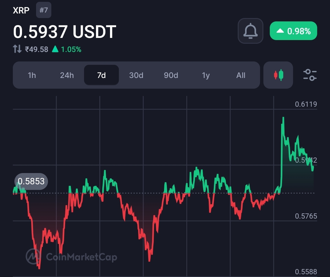 Ripple CTO Speaks Out Against Accusations of $XRP Price Manipulation 21