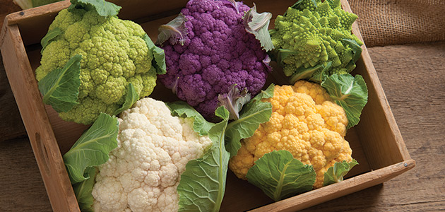 Cauliflower Varieties