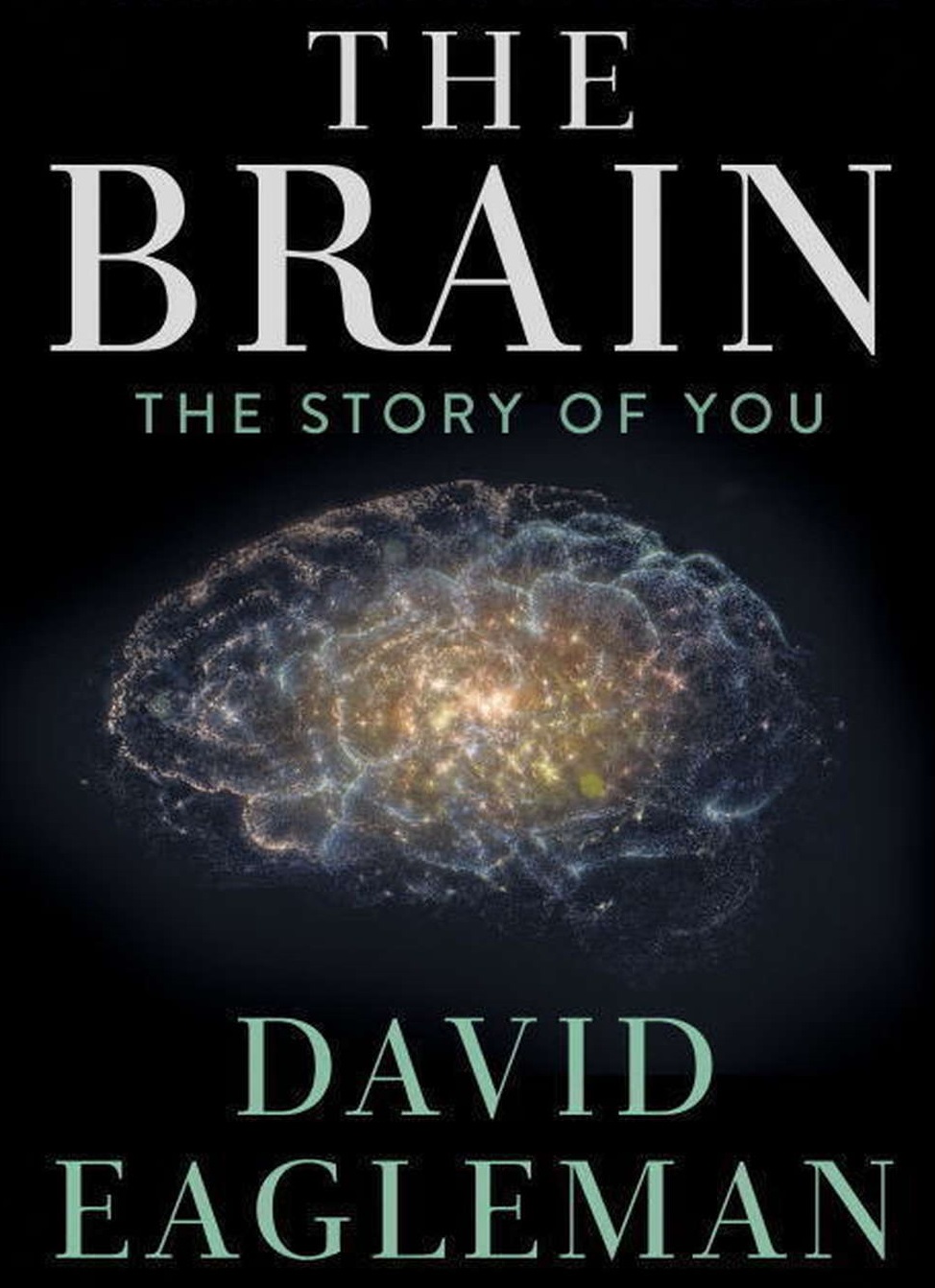 The Brain with Dr. David Eagleman (TV Series 2015– ) - IMDb