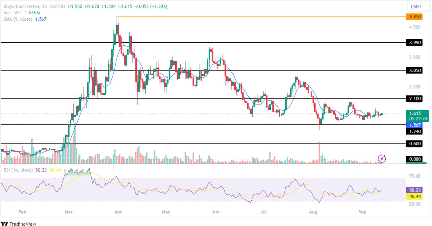 Dogwife Price Analysis September 2024