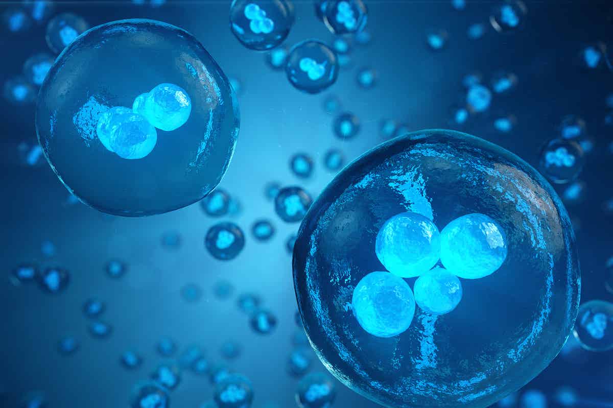 CRISPR Editing in Stem Cells: New Era in Regenerative Medicine
