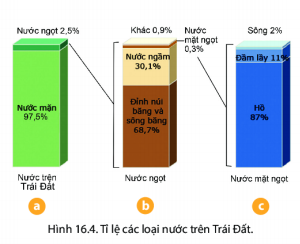 BÀI 16: THỦY QUYỂN.VÒNG TUẦN HOÀN NƯỚC, NƯỚC NGẦM, BĂNG HÀCâu 1: Dựa vào hình 16.1 em hãy nêu và so sánh:- Tỉ lệ diện tích lục địa và đại dương ở bán cầu Bắc- Tỉ lệ diện tích lục địa và đại dương ở bán cầu NamGiải nhanh:- So sánhLỤC ĐỊAĐẠI DƯƠNGTại bán cầu Bắc lục địa ( 39,24%) chiểm tỉ lệ % cao hơn ở cực Nam ( 19,0%) và cao hơn 20,4%Tạo bán cầu Bắc đại dương ( 60,6%) chiếm tỉ lệ % thấp hơn ở cực Nam(81,0%) và thấp hơn 20,4%- Tại bán cầu Nam, tỉ lệ lục địa thấp hơn tỉ lệ đại dương và thấp hơn 62%Câu 2: Quan sát hình 16.2 và đọc thông tin trong bài em hãy cho biết nước có từ đâu?Giải nhanh:Nước có ở: + băng tuyết trên đỉnh núi+ mây+ hồ+ sông+ đại dương+ dòng chảy ngầm+ hơi nước trong khí quyểnII. Vòng tuần hoàn nướcCâu 3: Quan sát hình 16.3 và đọc thông tin trong bài, em hãy mô tả vòng tuần hoàn lớn của nước.Giải nhanh:Vòng tuần hoàn lớn của nước:- Nước từ các mạch nước ngầm, hồ, đại dương dưới tác động của nhiệt độ bốc hơi lên cao nhiều dần tụ thành các đám mây- Mây được gió đưa vào sâu lục địa: ở vùng vĩ độ thấp, núi thấp mây gặp lạnh thành mưa- Một phần mưa bay hơi ngay và trở lại khí quyển, phần còn lại rơi xuống biển trở thành nước mặt hoặc ngấm vào đất thành nước ngầm, ở vùng vĩ độ cao và núi cao, mây gặp lạnh tạo thành tuyết- Nước ngấm và đọng lại về lại biển và đại dương, rồi tiếp tục bốc hơi,...III. Nước ngầm và băng hà1. Nước ngầmCâu 4: Quan sát hình 16.4 và đọc thông tin trong bài, em hãy:- So sánh tỉ lệ giữa nước mặn và nước ngọt trên trái đất- Cho biết tỉ lệ nước ngầm trong tổng lượng nước ngọt trên Trái Đất- Nêu tầm quan trọng của nước ngầmGiải nhanh:NƯỚC MẶNNƯỚC NGẦMTỉ lệ nước mặn chiếm phần trăm gần như tuyệt đối lên tới 97,5 % trong khi nước ngọt chỉ chiếm 2,55%Tỉ lệ nước ngầm chiếm 30,1 % trong tổng lượng nươc ngọt trên trái đất thấp hơn tỉ lệ lượng nước trên đỉnh núi băng và sông băng ( 68,7%) là 38,6%.Tầm quan trọng của nước ngầm: cung cấp nguồn nước cho sông hồ,  nước cho sinh hoạt, cho sản xuất nông nghiệp và công nghiệp, là nguồn nước ngọt quan trọng cho toàn thế giới2. Băng hàCâu 5: Quan sát hình 16.4, hình 16.5 và đọc thông tin trong bài, em hãy:- Kể tên những nơi có băng hà- Xác định tỉ lệ băng hà trong tổng lượng nước ngọt trên Trái Đất- Nêu tầm quan trọng của băng hàGiải nhanh:- Những nơi có băng hà như: Nam cực, Bắc cực, các dãy núi vùng ôn đới và các đảo ở vùng vĩ độ cao, ở các dãy núi cao giữa hai vĩ tuyến 35 độ Bắc và Nam- Tỉ lệ băng hà trong tổng lượng nước ngọt trên Trái Đất chiếm tới 68,9%- Tầm quan trọng của băng hà: + Là nguồn cung cấp nước chủ yếu cho các con sông ở miền ôn đới hay các con sông bắt nguồn từ núi cao+ Là nguồn dự trữ, cung cấp nước ngọt và nguồn thủy năngI. Luyện tậpCâu 1:  Hãy kể tên các thành phần chủ yếu của thủy quyểnGiải nhanhCác thành phần chủ yếu của thủy quyển: nước trong các biển, đại dương, trên lục địa ( sông, hồ, băng, tuyết, nước ngầm,...) và hơi nước trong khí quyểnCâu 2:  Hãy tìm ví dụ cho thấy nước ngầm có tham gia vào vòng tuần hoàn lớn của nướcGiải nhanh:Nước ngầm có tham gia vào vòng tuần hoàn lớn của nước ở chỗ nước ngầm do nước trên bền mặt đất, mưa, băng tuyết tan và sông hồ  thấm xuống đất tạo thành các mạch nước ngầm, theo dòng chảy ra đại dương, hồ, sông từ đó dưới tác động mặt trời mà bốc hơi tạo thành mây nhưng tụ thành mưaII. Vận dụng