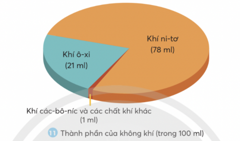 Quan sát biểu đồ sau và cho biết không khí bao gồm những khí nào?