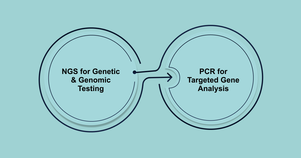 Factors Influencing Technology Choice