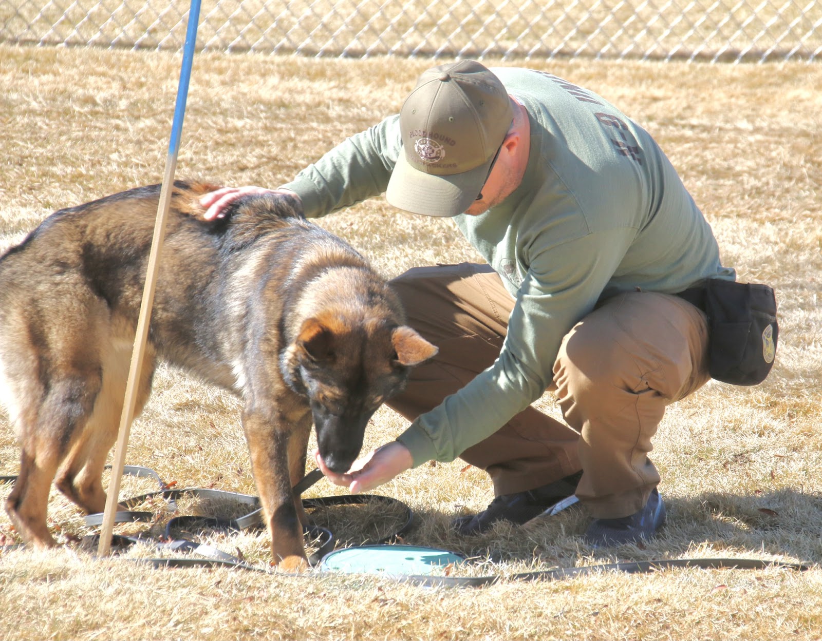 K9 Moose - Moose is a 3-year-old German Shepherd that has been trained in decomposing human scent detection. 