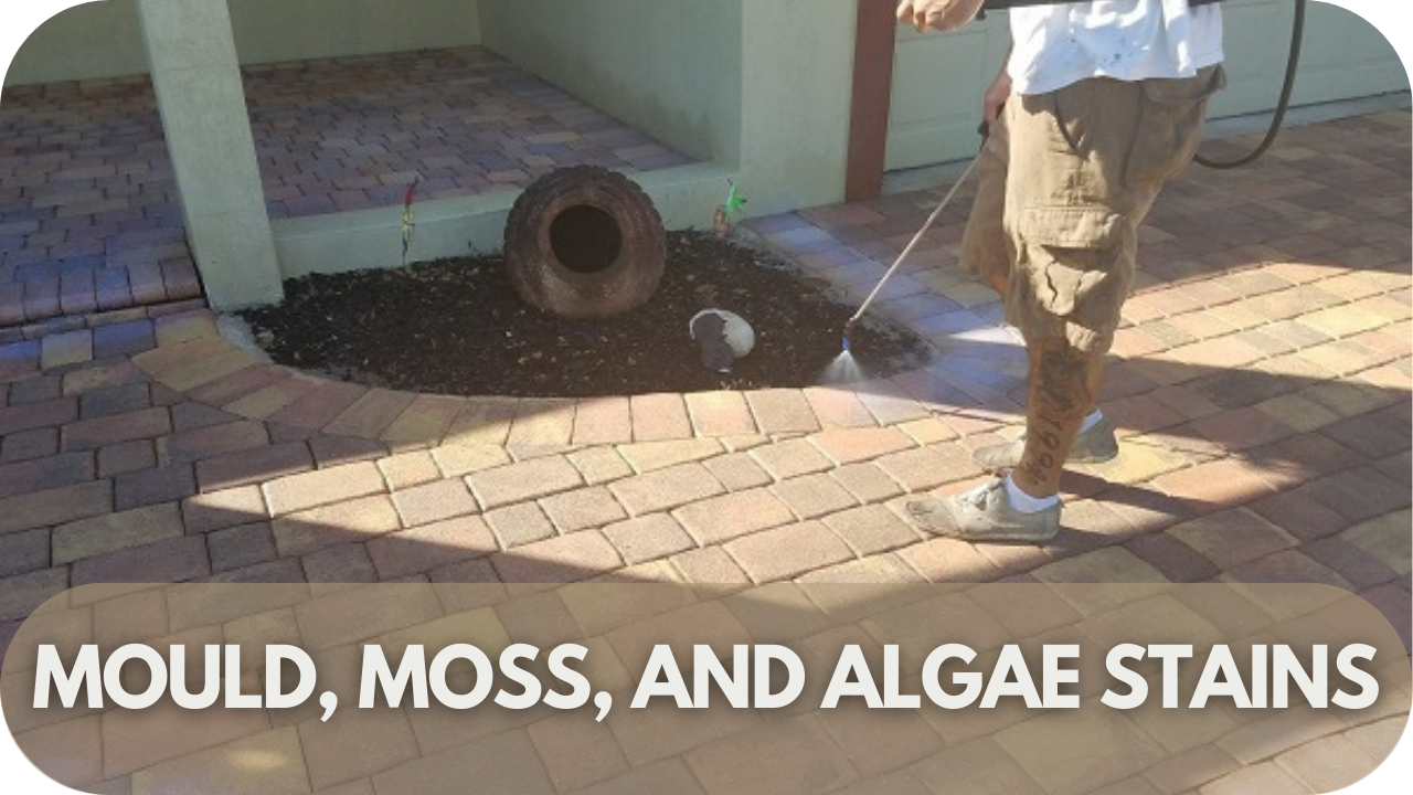 Removing mould, moss, and algae stains from pavers for a cleaner look.