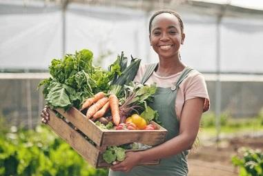 woman-farmer-vegetables-greenhouse-agriculture