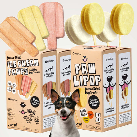 MalsiPree's freeze-dried Dog Pawlipop and Ice Cream Pawp treats for training & bonding.