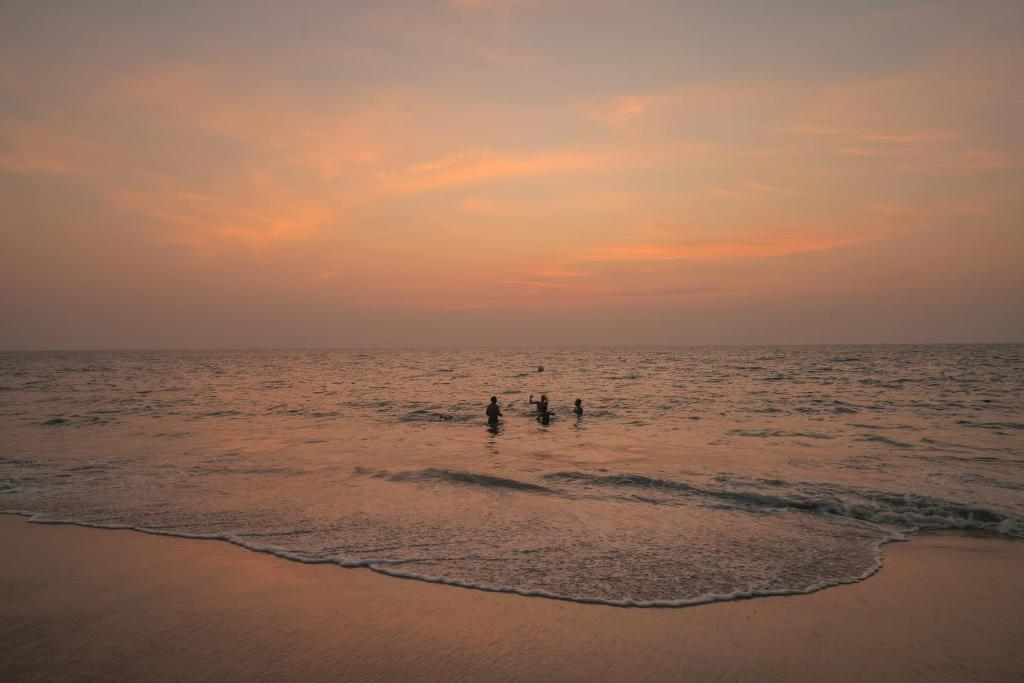  Marari Beach: Quiet Elegance by the Sea
